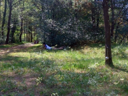 2018_Tessin_1 157.jpg